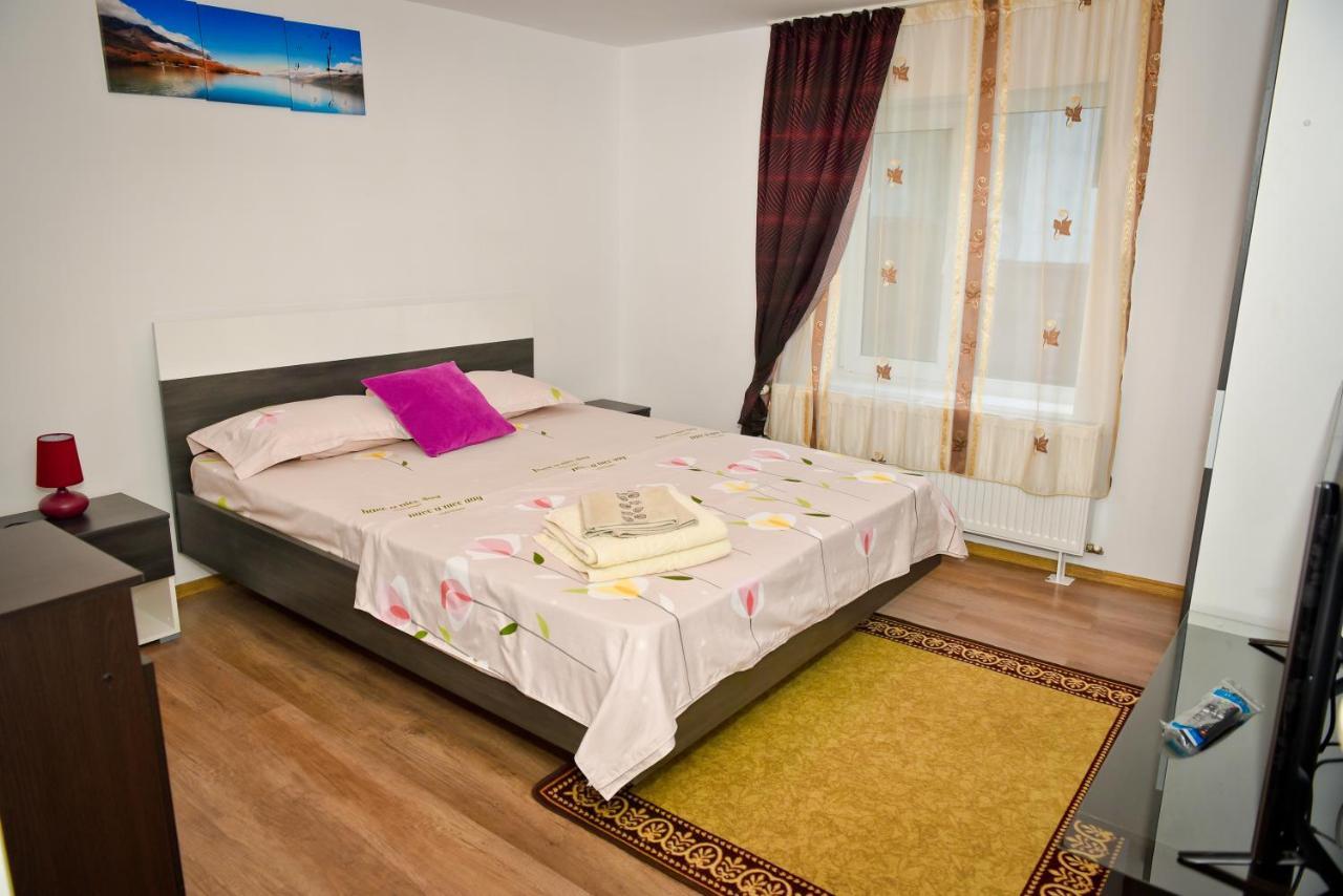 Casa Dodo Hotel Calimanesti Exterior photo